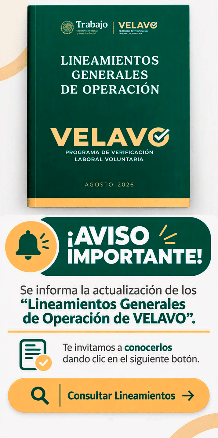 lineamientos
